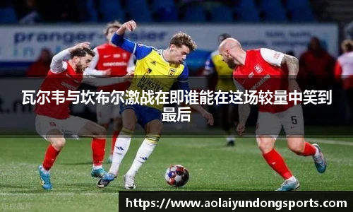 zoty中欧手机下载